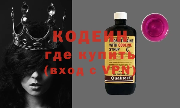 хмурый Белокуриха