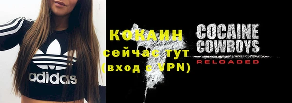 хмурый Белокуриха