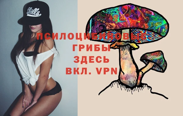 Альфа ПВП Белоозёрский