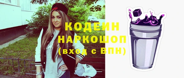 хмурый Белокуриха