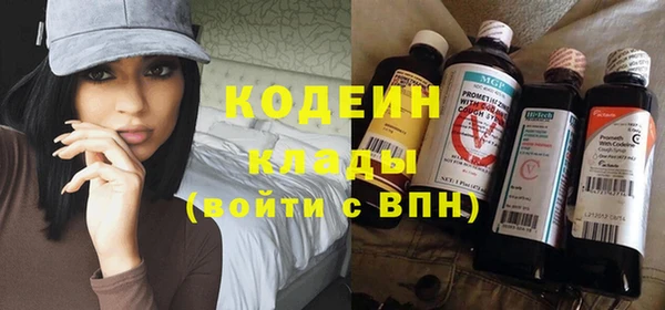 хмурый Белокуриха