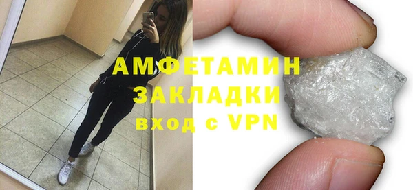 хмурый Белокуриха